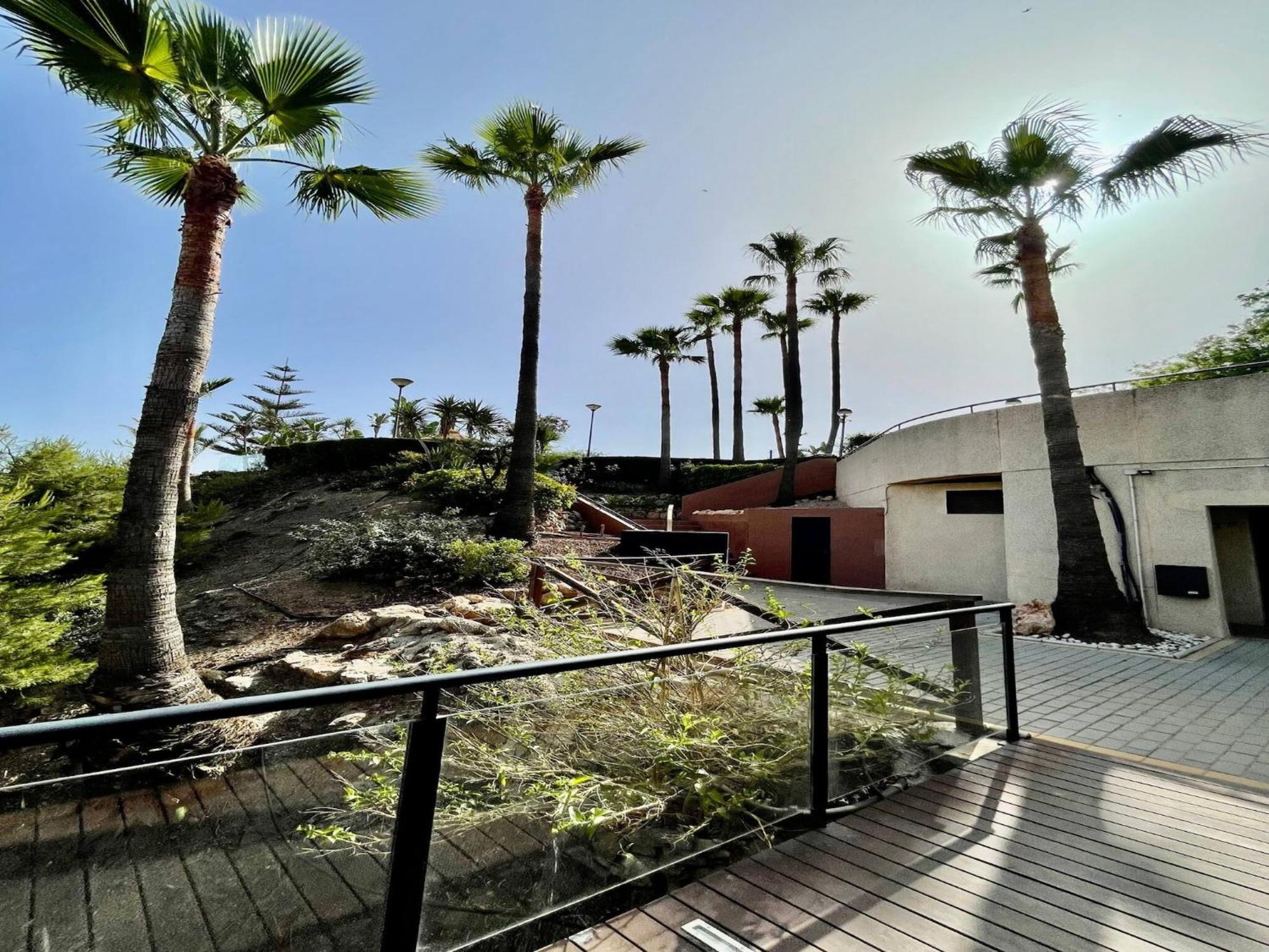 Apartamento Amazing In